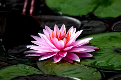 BB电子游戏(中国集团)官方网站