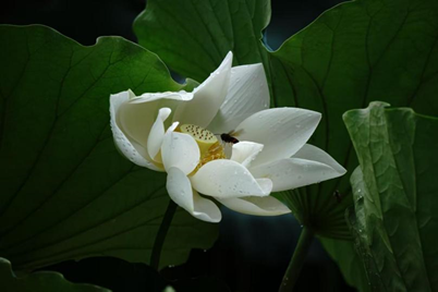 BB电子游戏(中国集团)官方网站